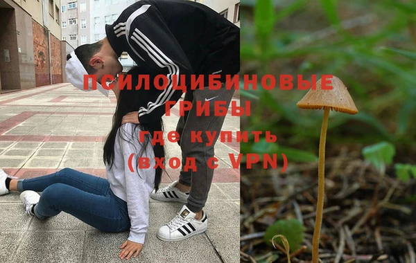 твердый Мегион