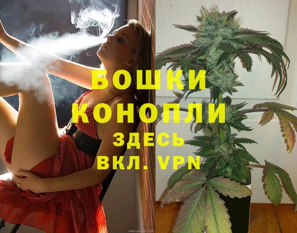 дмт Медвежьегорск