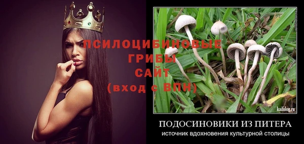 твердый Мегион